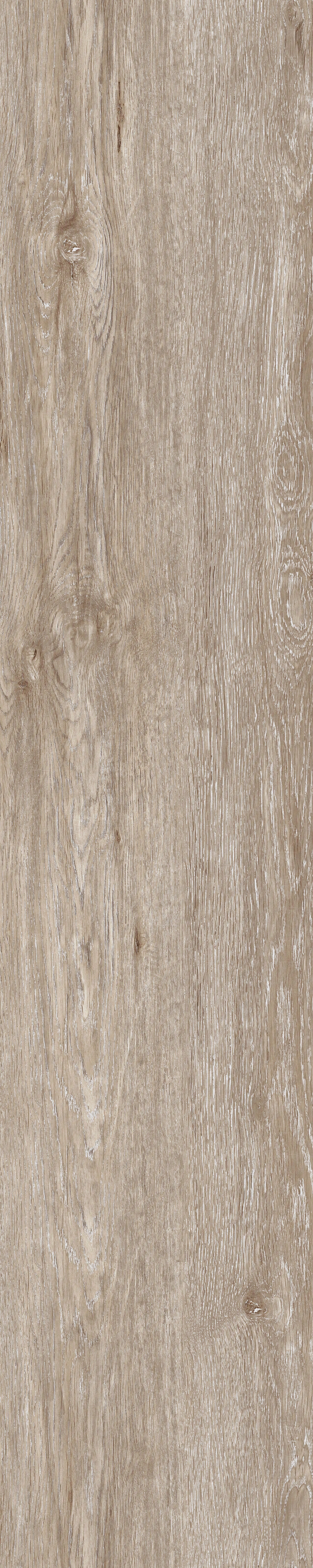 欧洲枫桦木木纹贴图下载【ID:578063902】