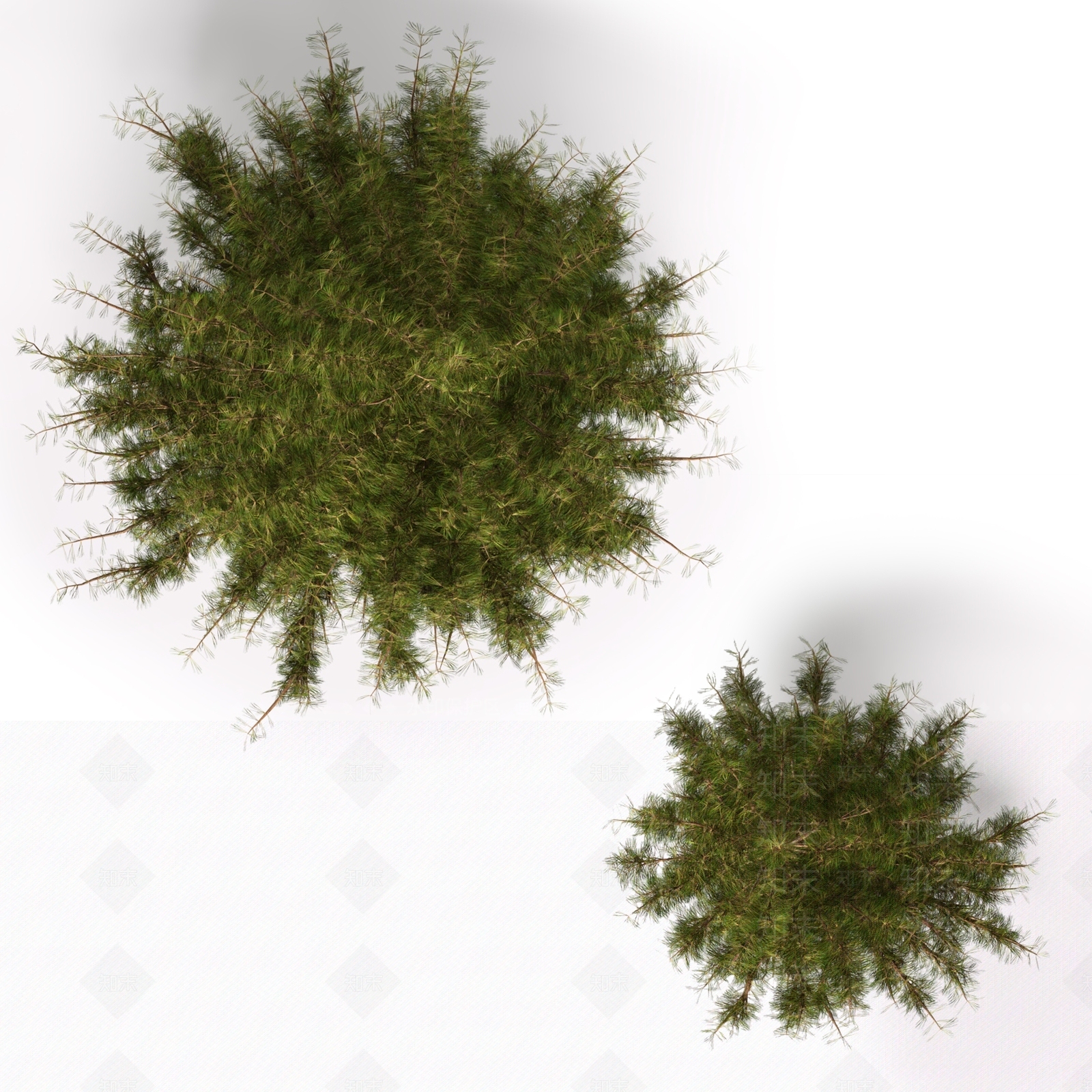 现代树冠树木3D模型下载【ID:378426602】