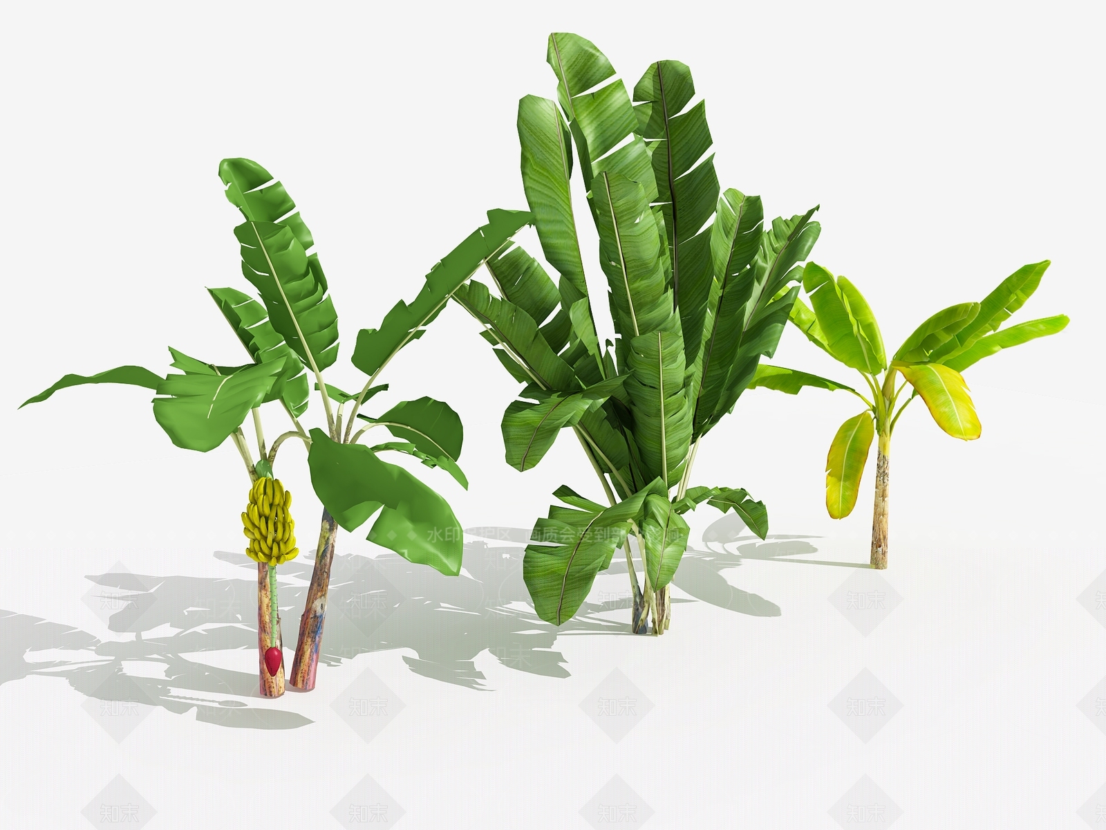 现代芭蕉树3D模型下载【ID:378438560】