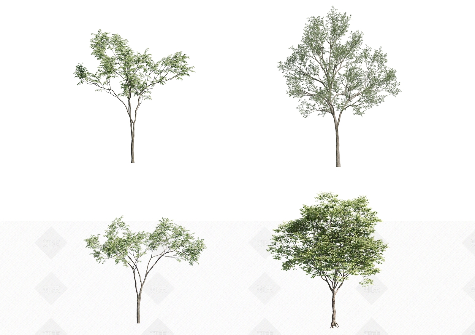 树木3D模型下载【ID:378682648】