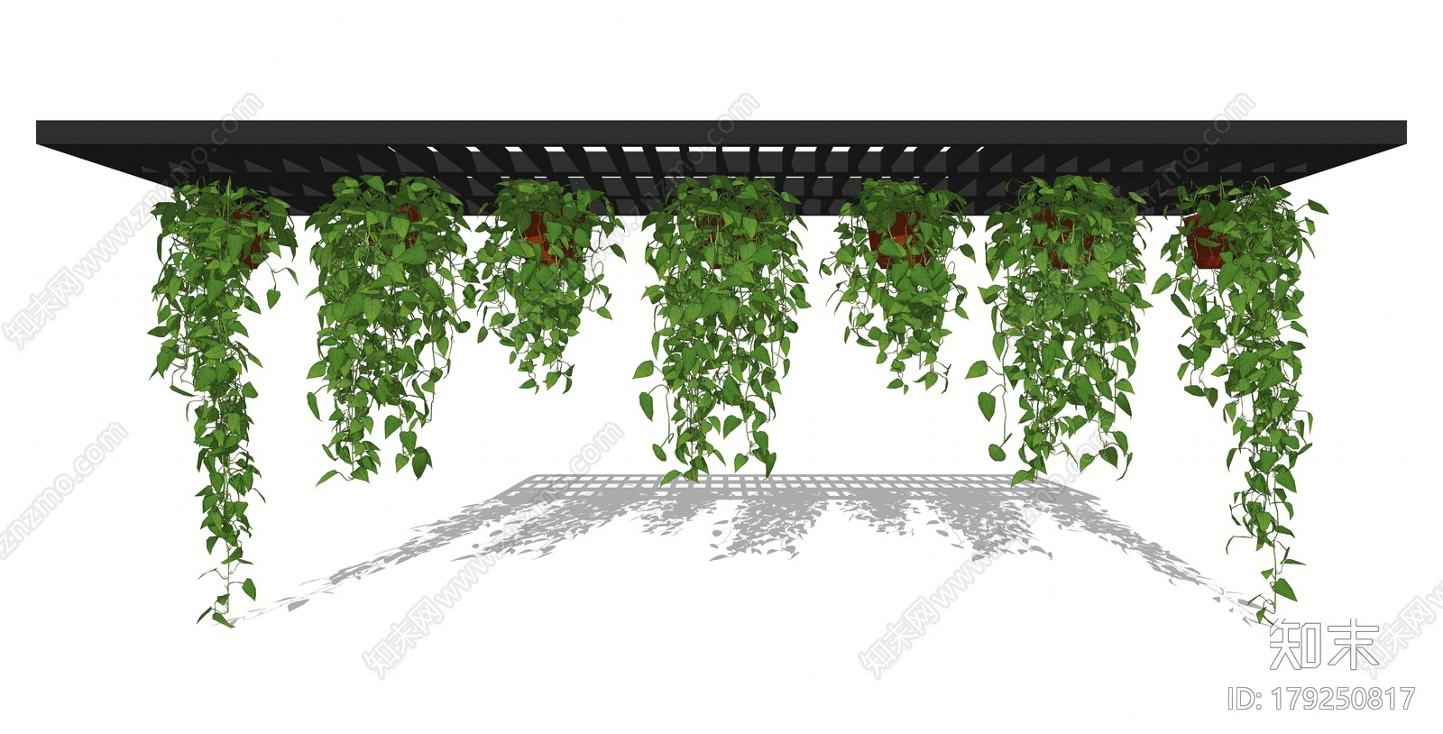 现代植物SU模型下载【ID:179250817】