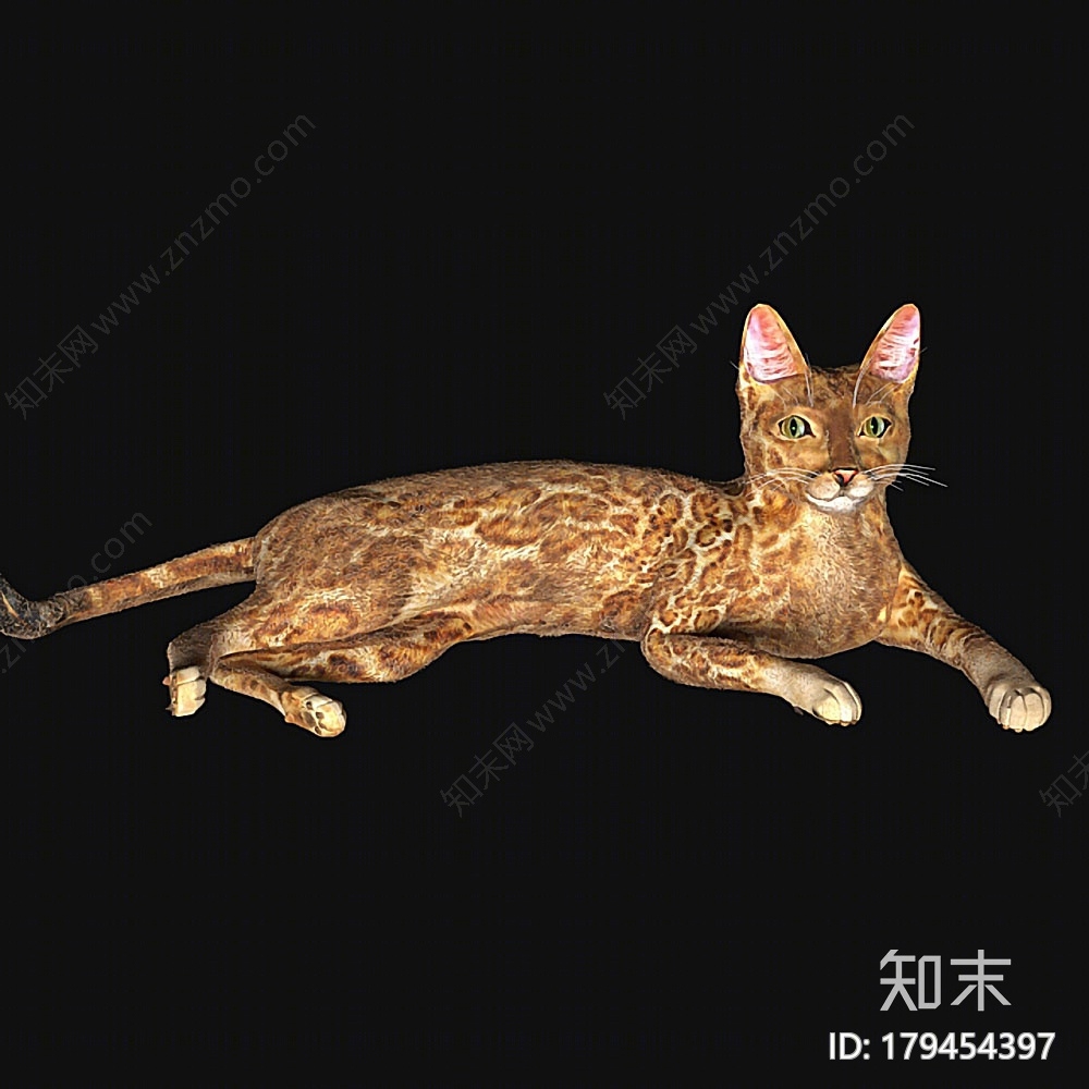 宠物猫3D模型下载【ID:179454397】