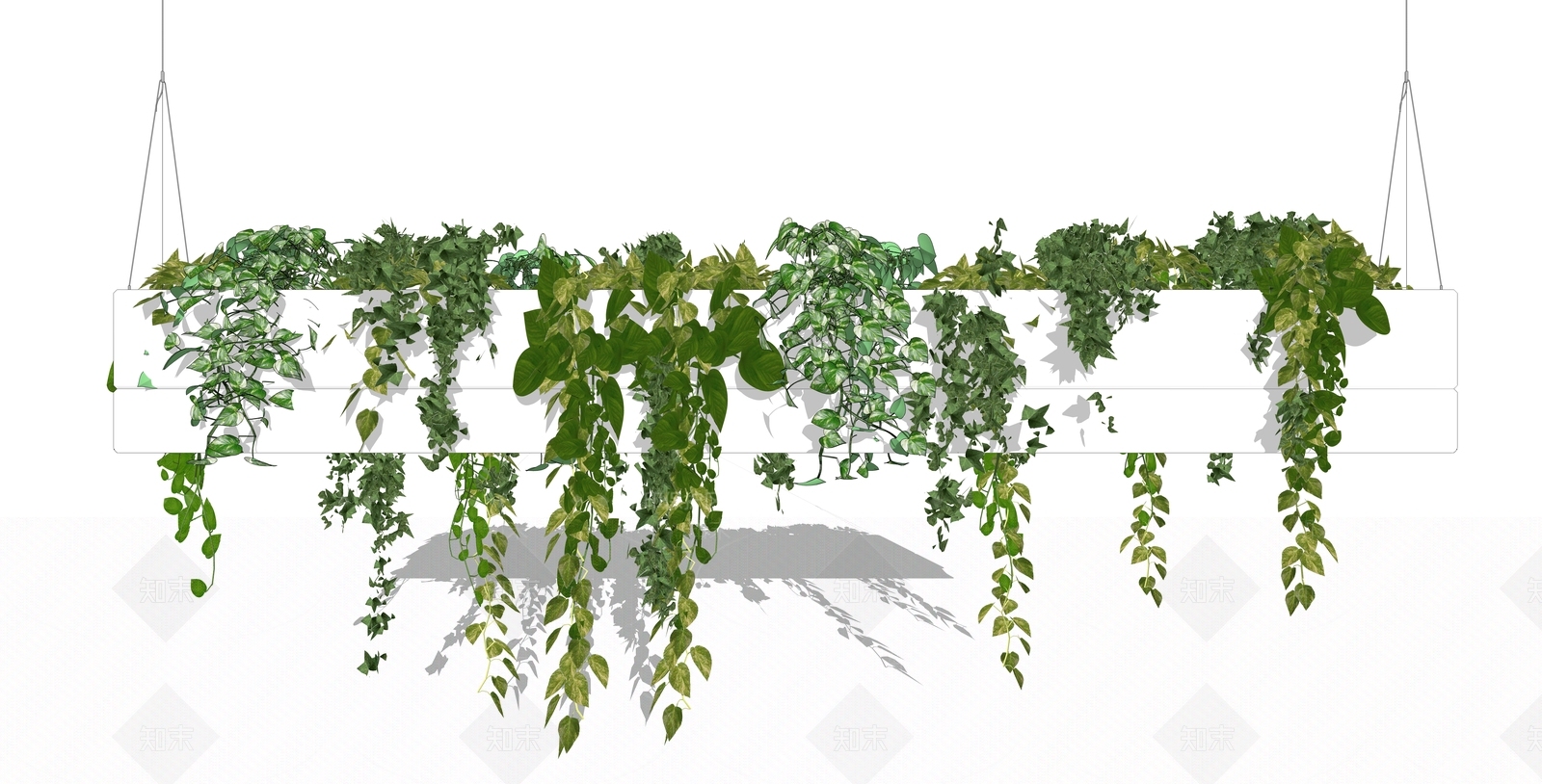 北欧植物SU模型下载【ID:979324239】
