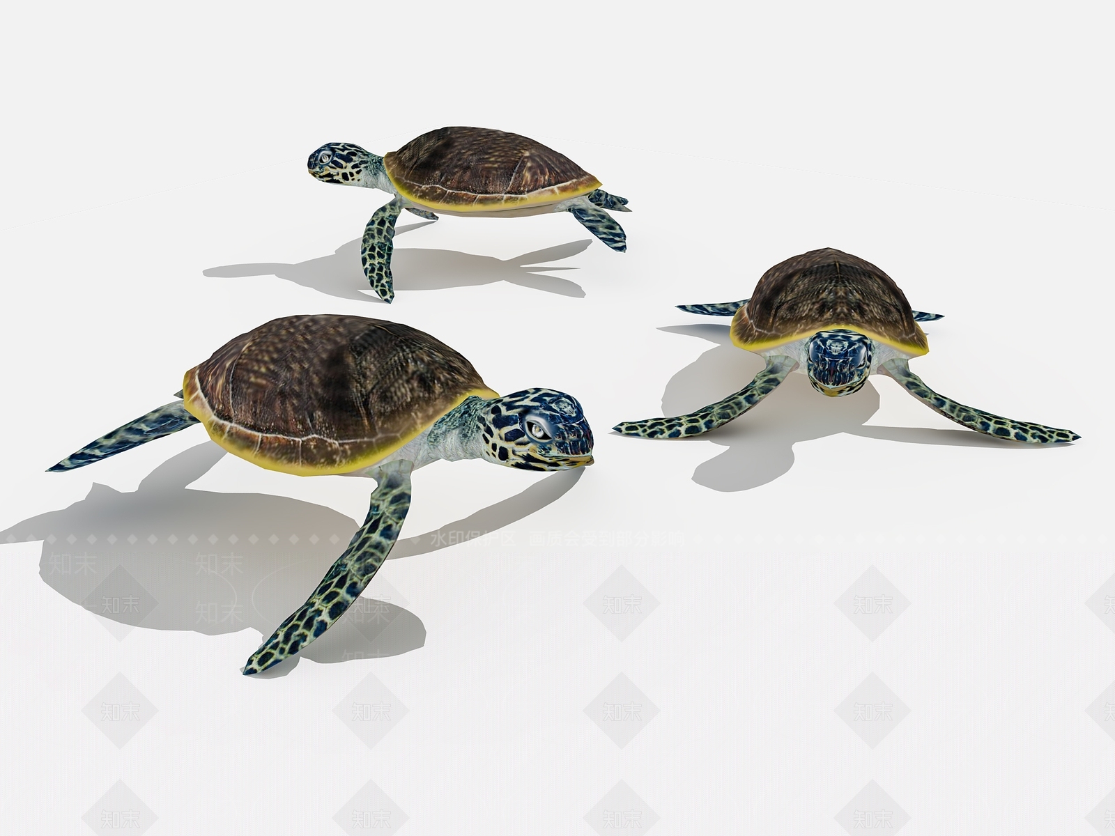 水生类动物3D模型下载【ID:679394056】