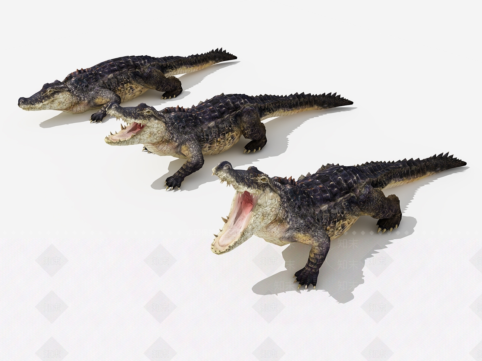 现代爬行类动物3D模型下载【ID:679745046】
