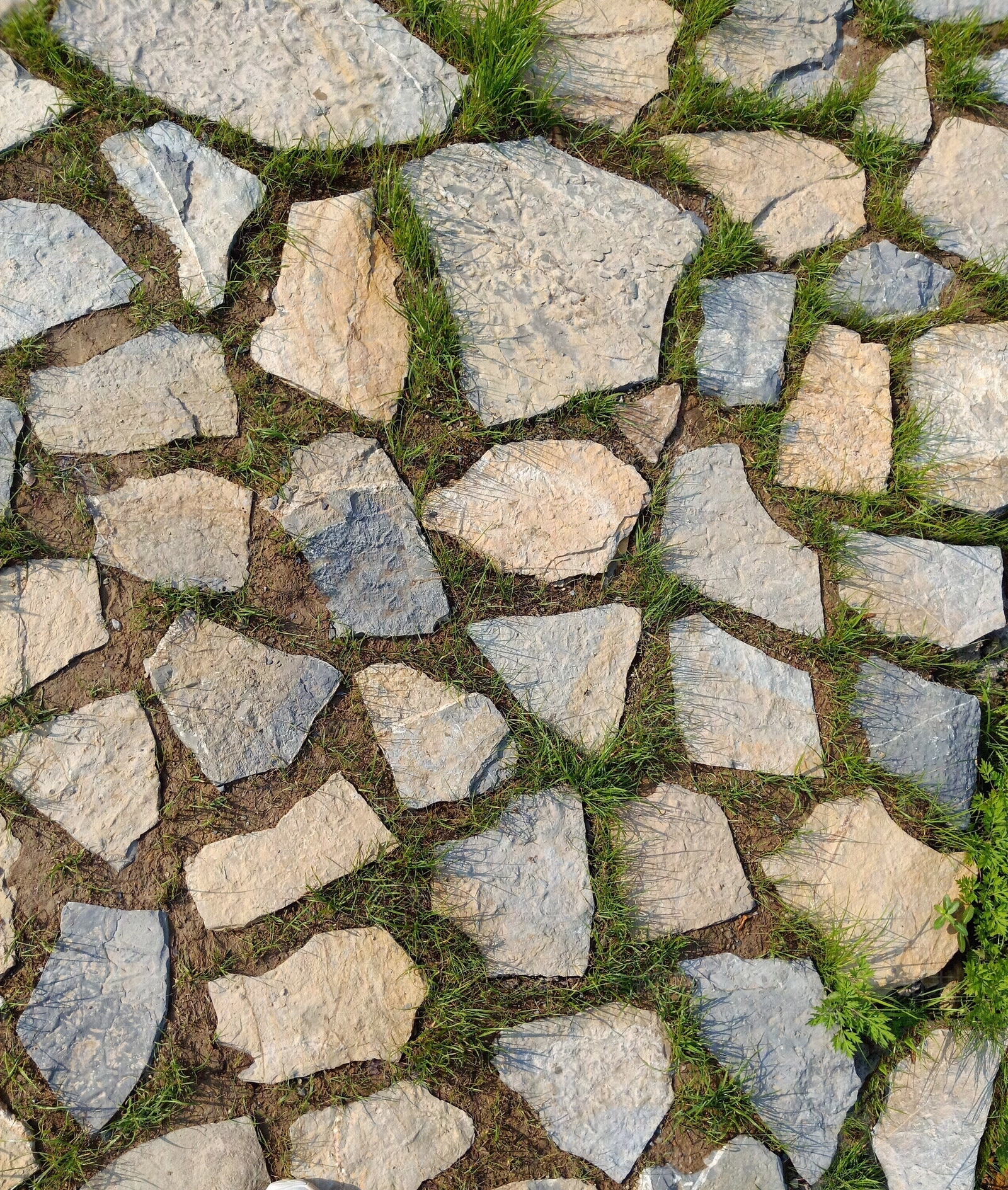 嵌草砖小路地面铺装贴图下载