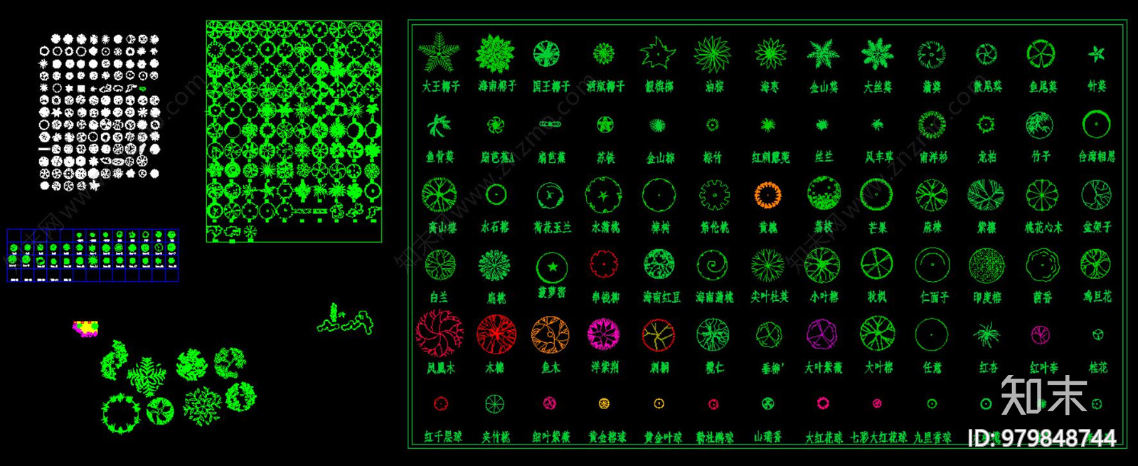 平面树表植物施工图下载【ID:979848744】