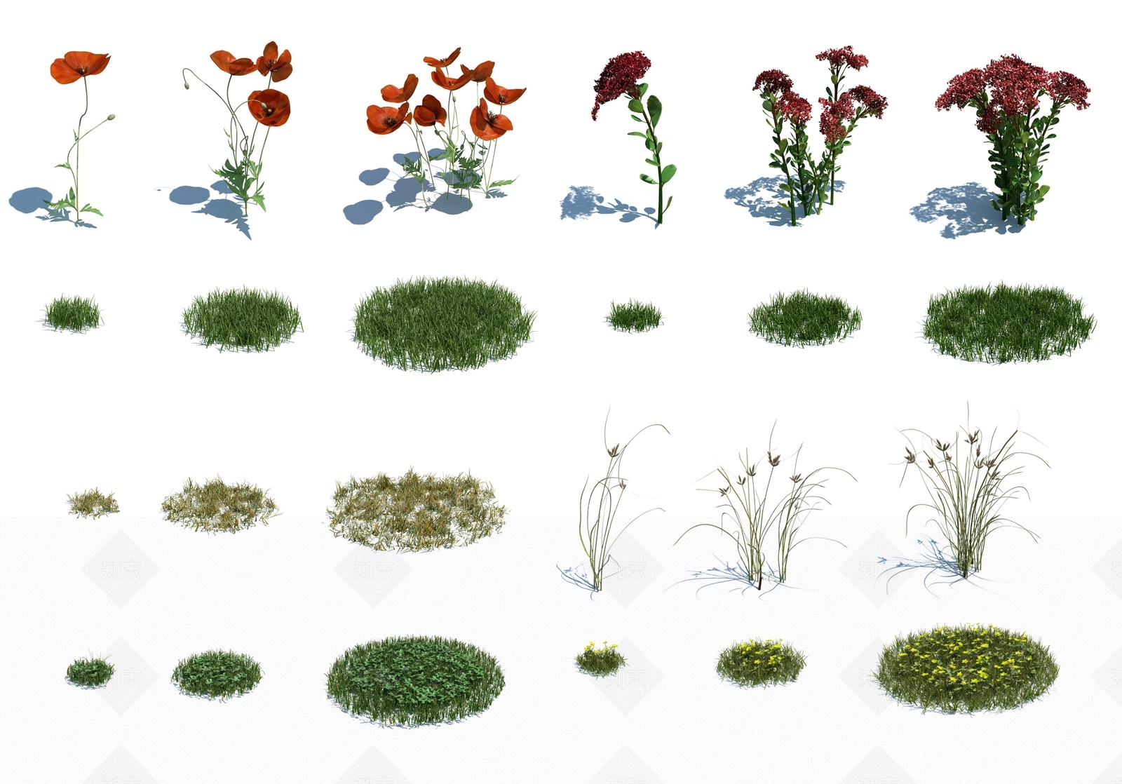 现代花草3D模型下载【ID:380014642】