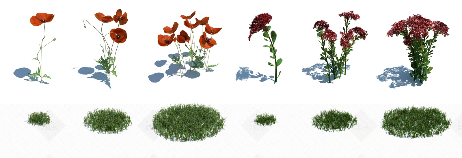 现代花草3D模型下载【ID:380014642】