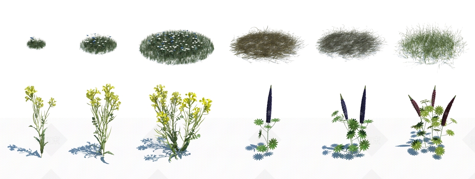 现代花草3D模型下载【ID:380014644】