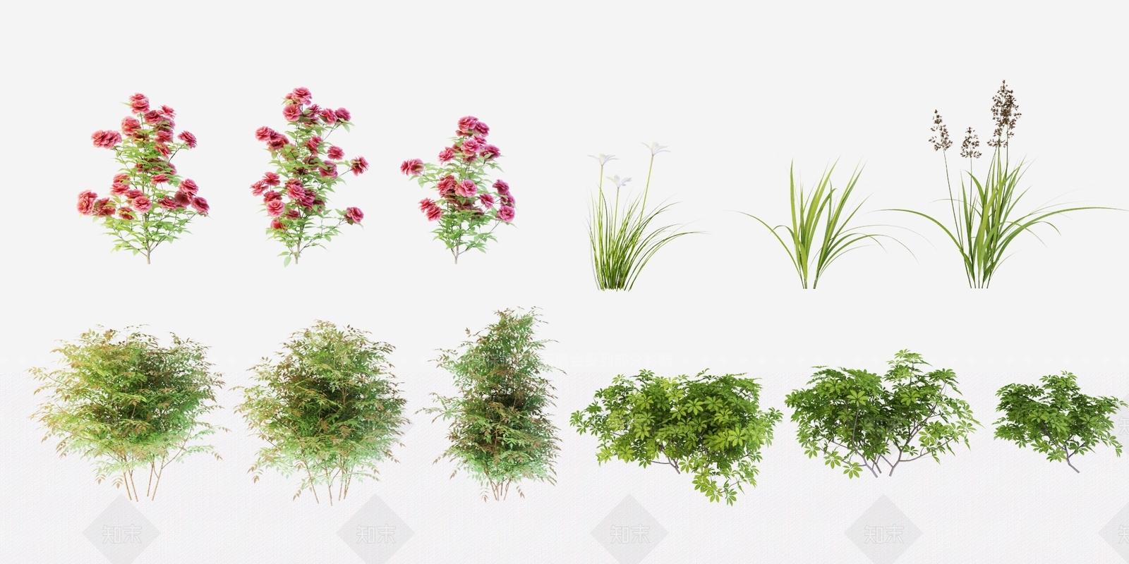 现代花草3D模型下载【ID:380596579】