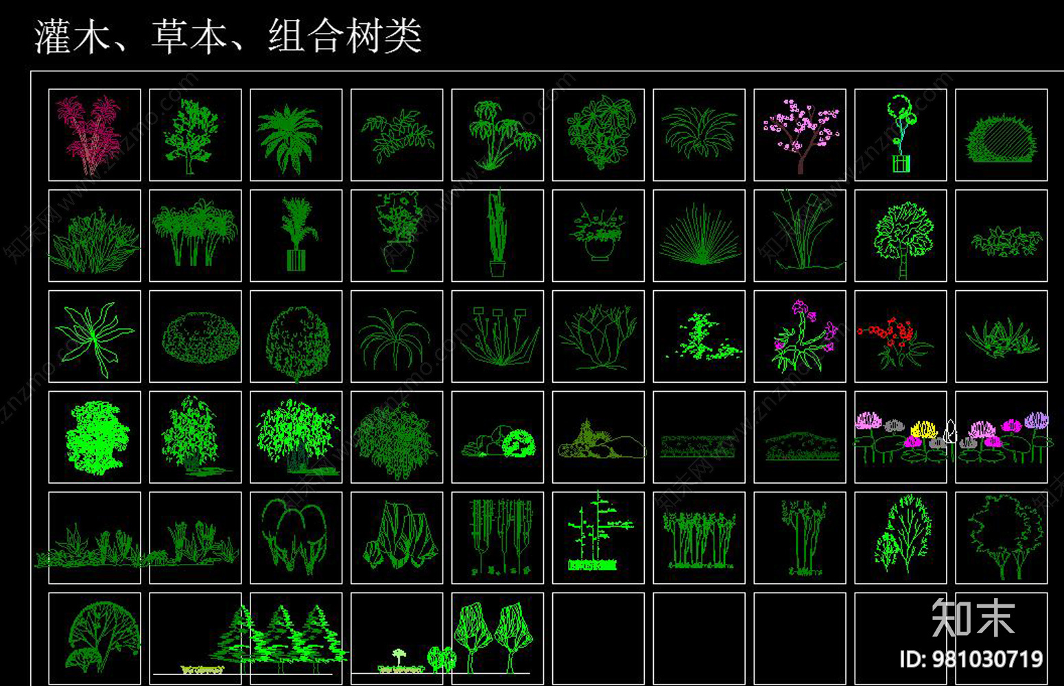 植物CAD图例大全cad施工图下载【ID:981030719】