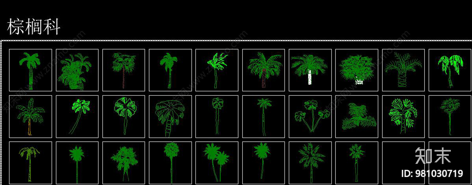 植物CAD图例大全cad施工图下载【ID:981030719】