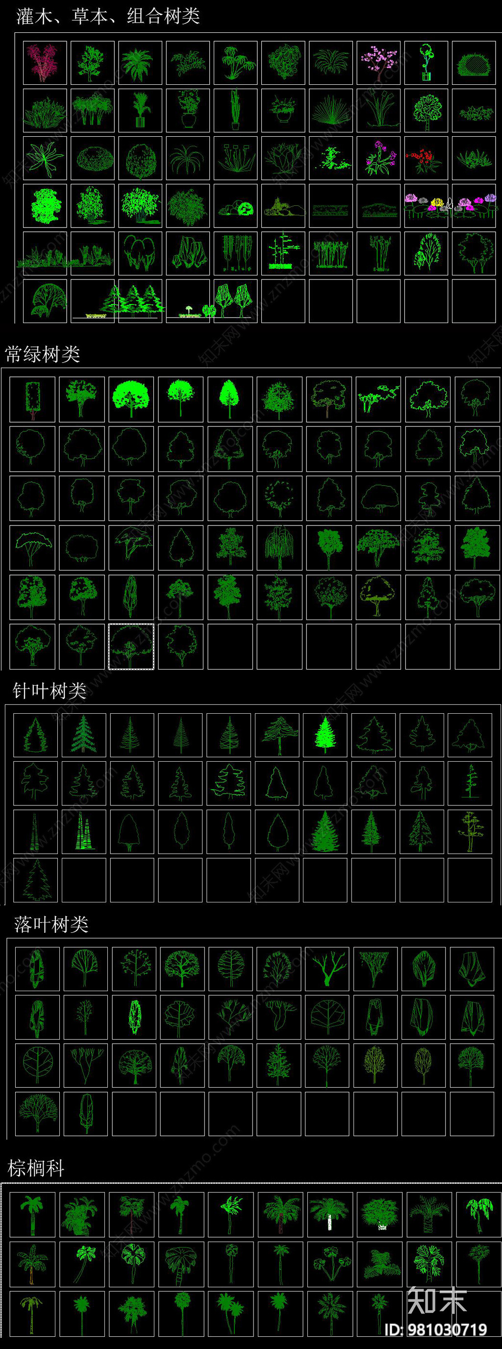 植物CAD图例大全cad施工图下载【ID:981030719】