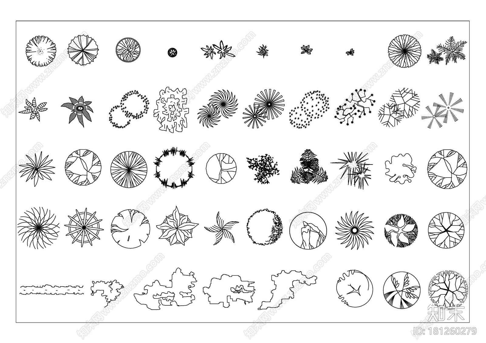 景观植物施工图下载【ID:181260279】
