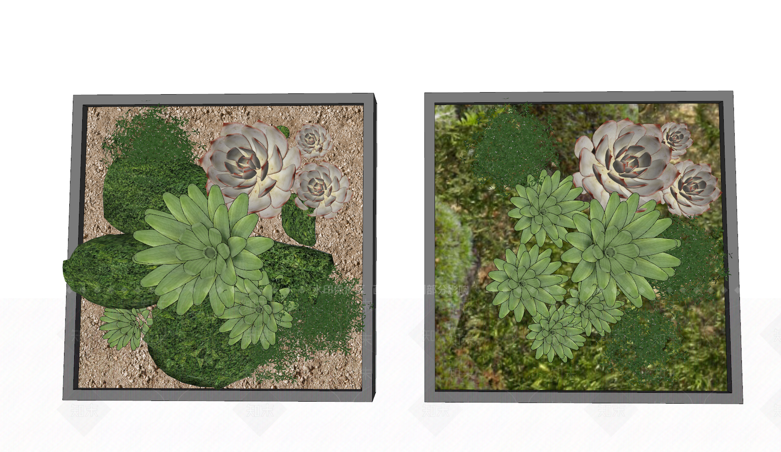 现代多肉植物SU模型下载【ID:281813227】