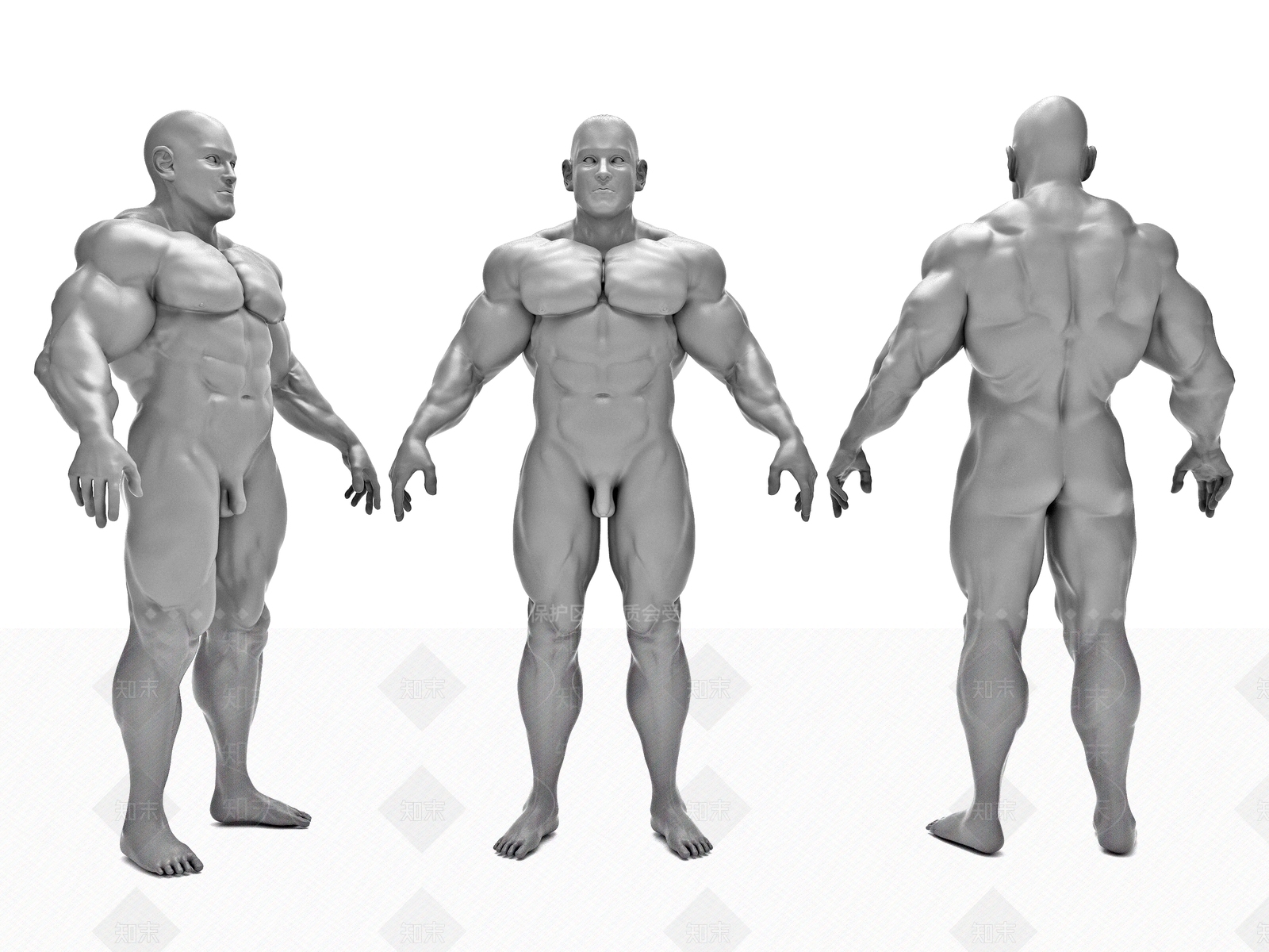 现代人体3D模型下载【ID:382177818】