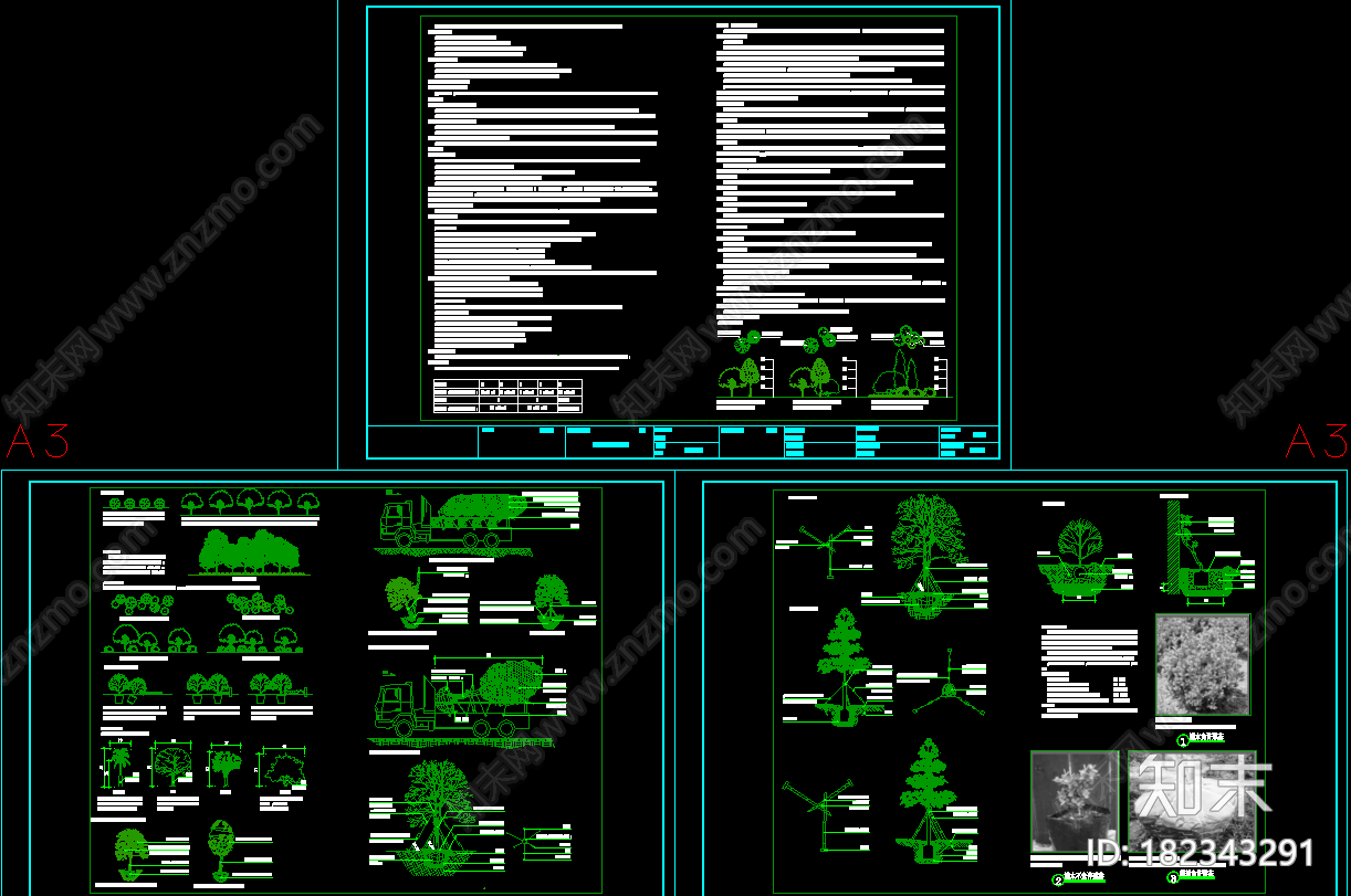 植物设计说明cad施工图下载【ID:182343291】