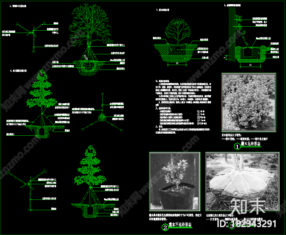 植物设计说明cad施工图下载【ID:182343291】