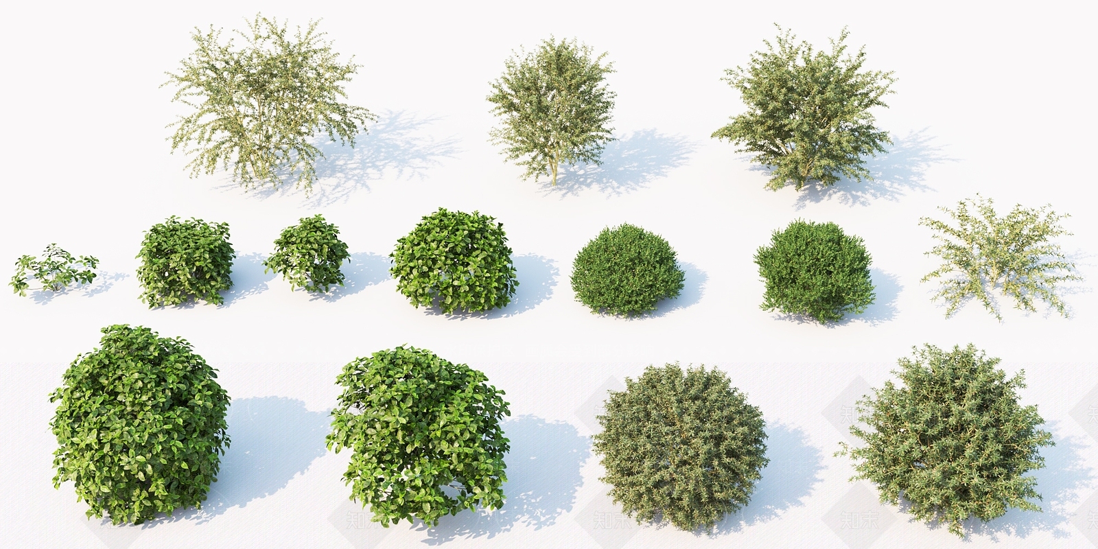 现代灌木3D模型下载【ID:682525768】