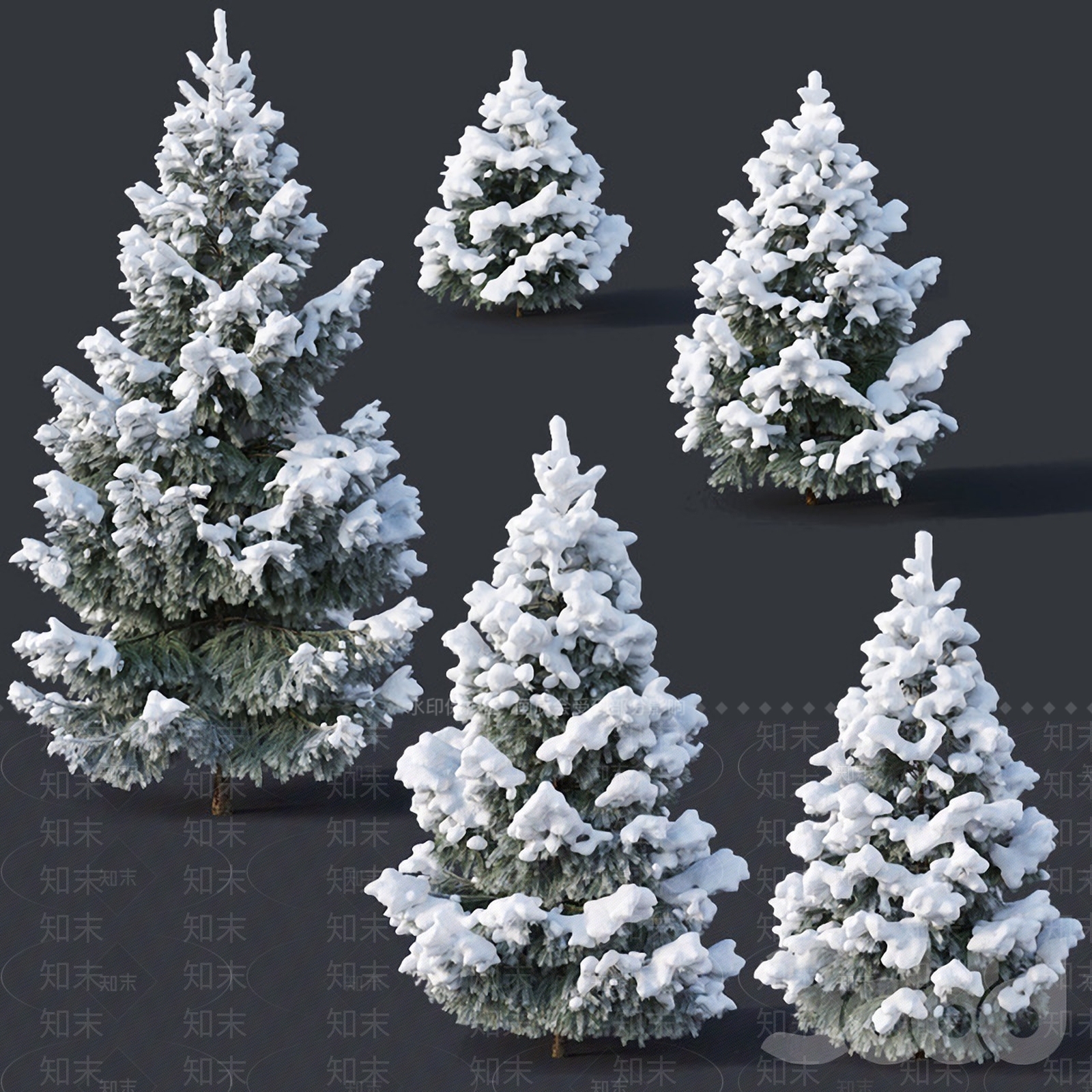 现代植物雪松3D模型下载【ID:382765698】