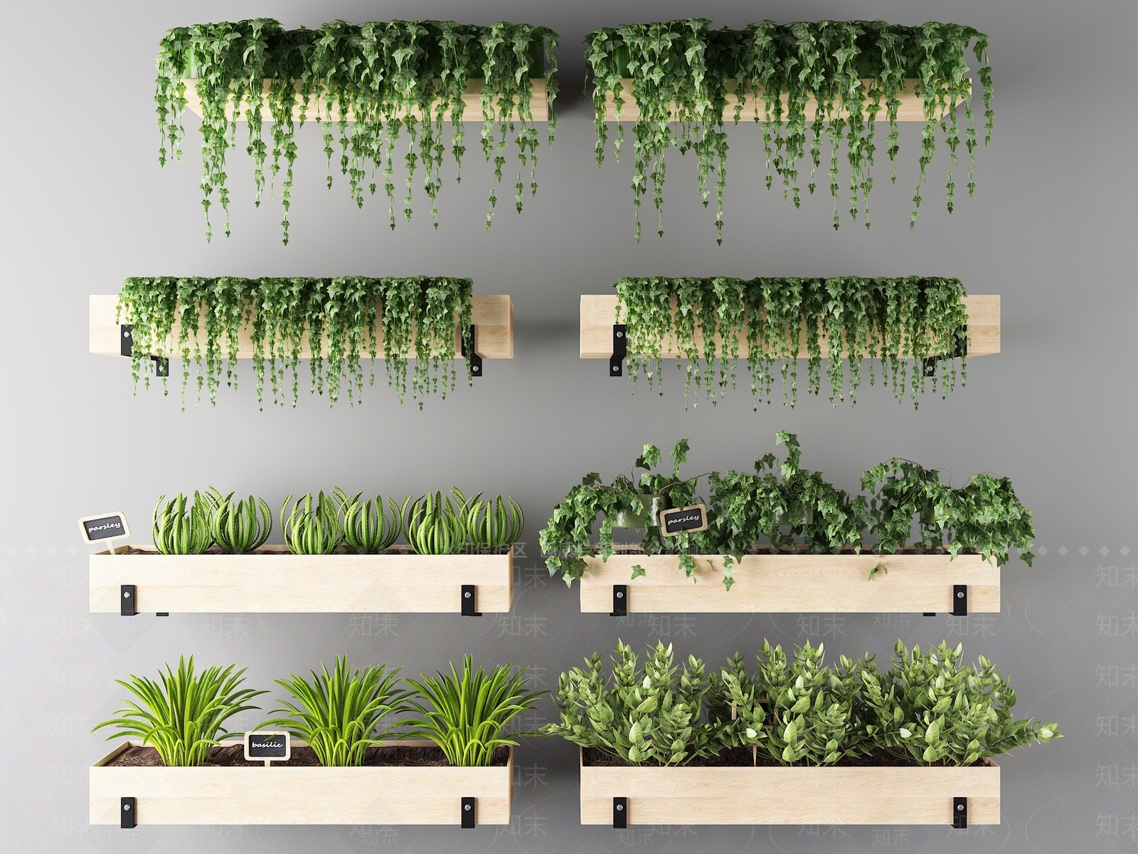 现代绿植花草植物壁挂植物组合3D模型下载【ID:484317202】