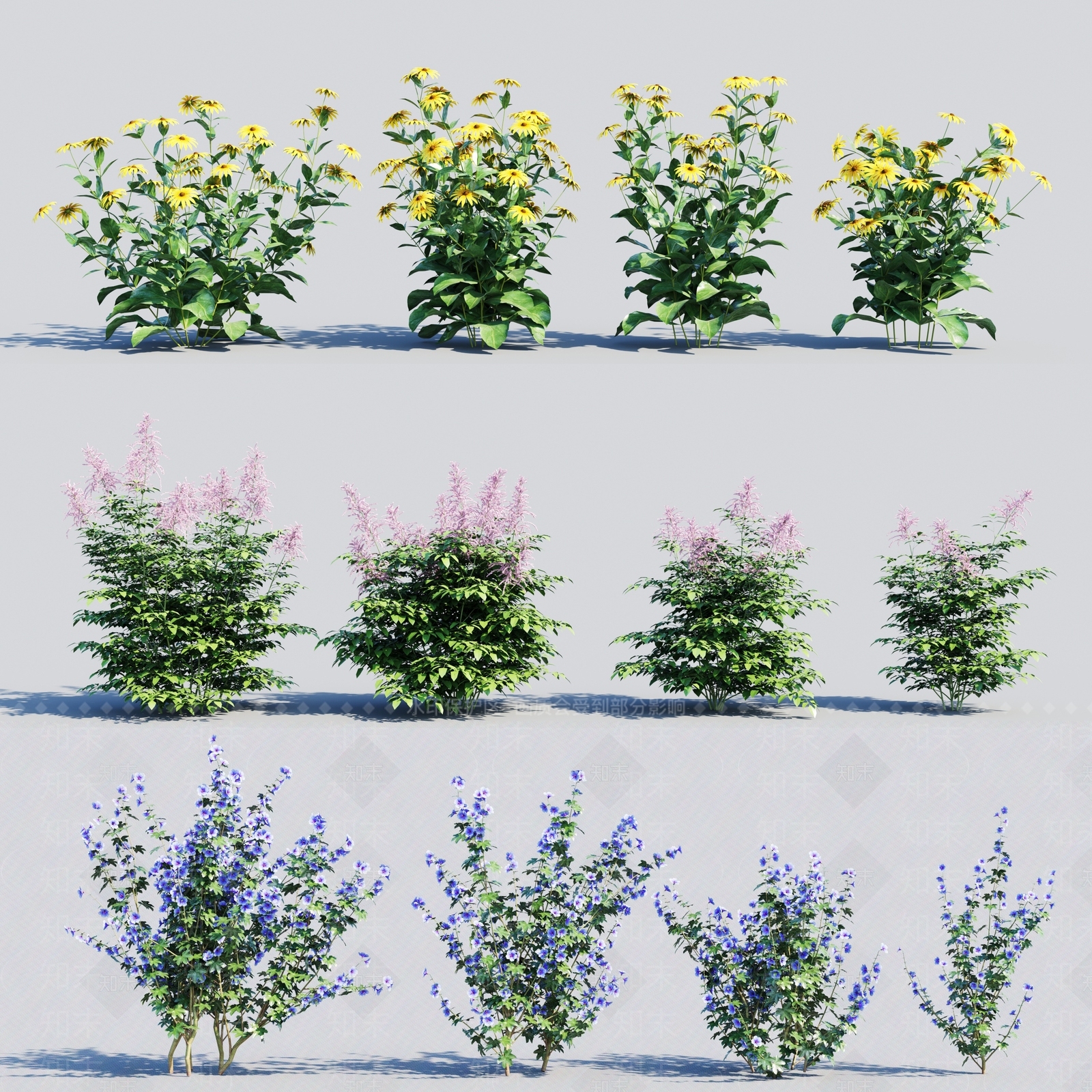 现代灌木3D模型下载【ID:384743576】
