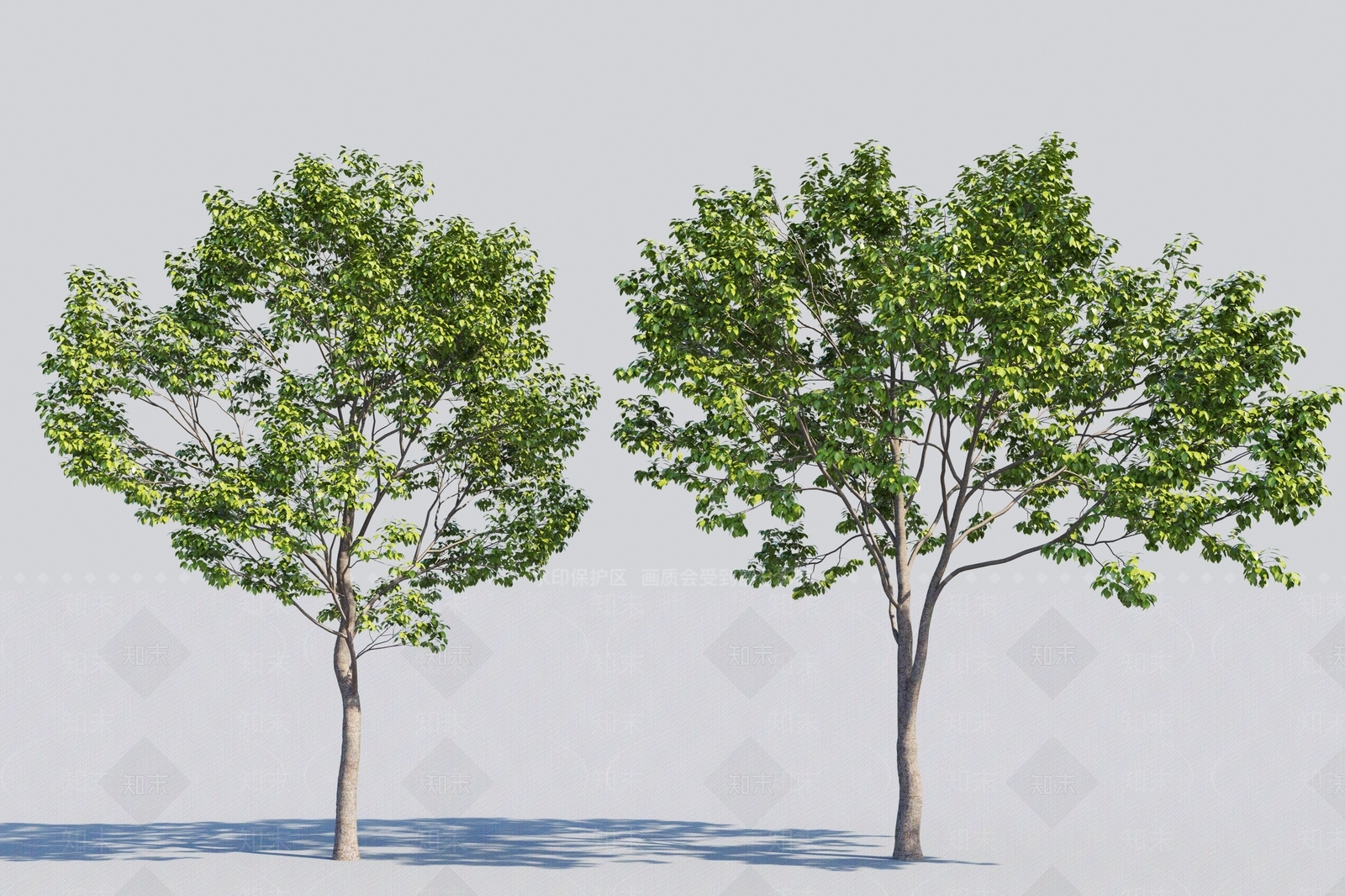 现代景观树3D模型下载【ID:384839613】