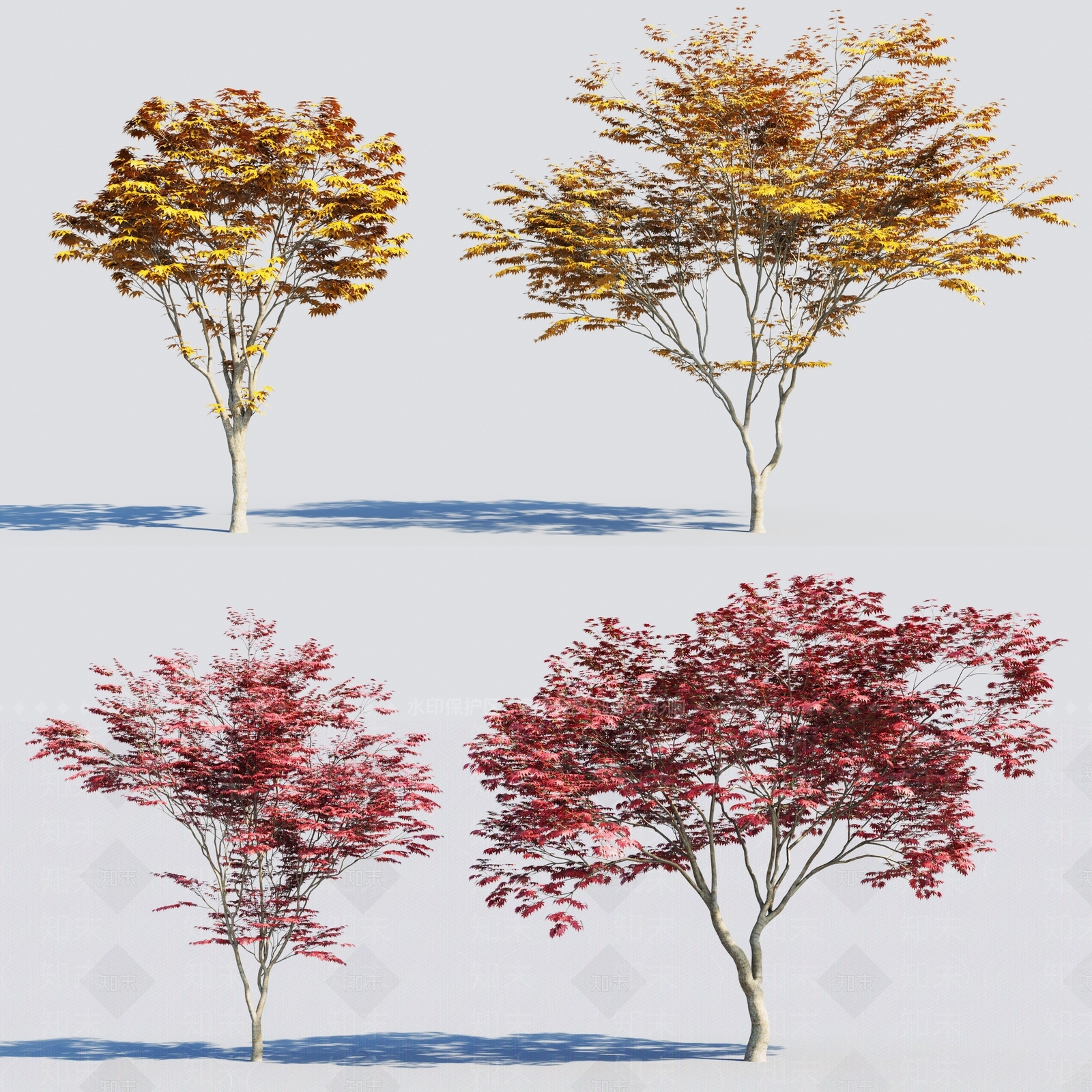 现代景观树3D模型下载【ID:384871611】