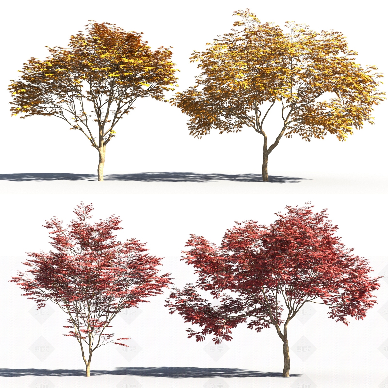 现代景观树3D模型下载【ID:384871612】