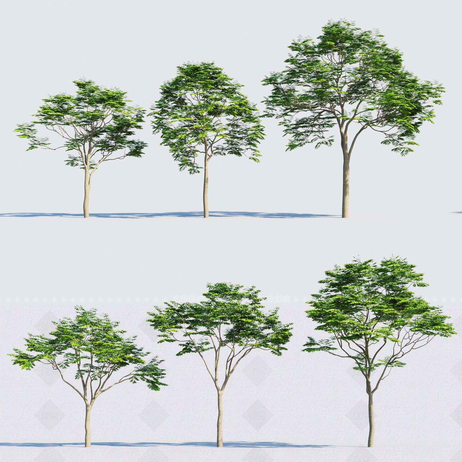 现代景观树3D模型下载【ID:384890655】