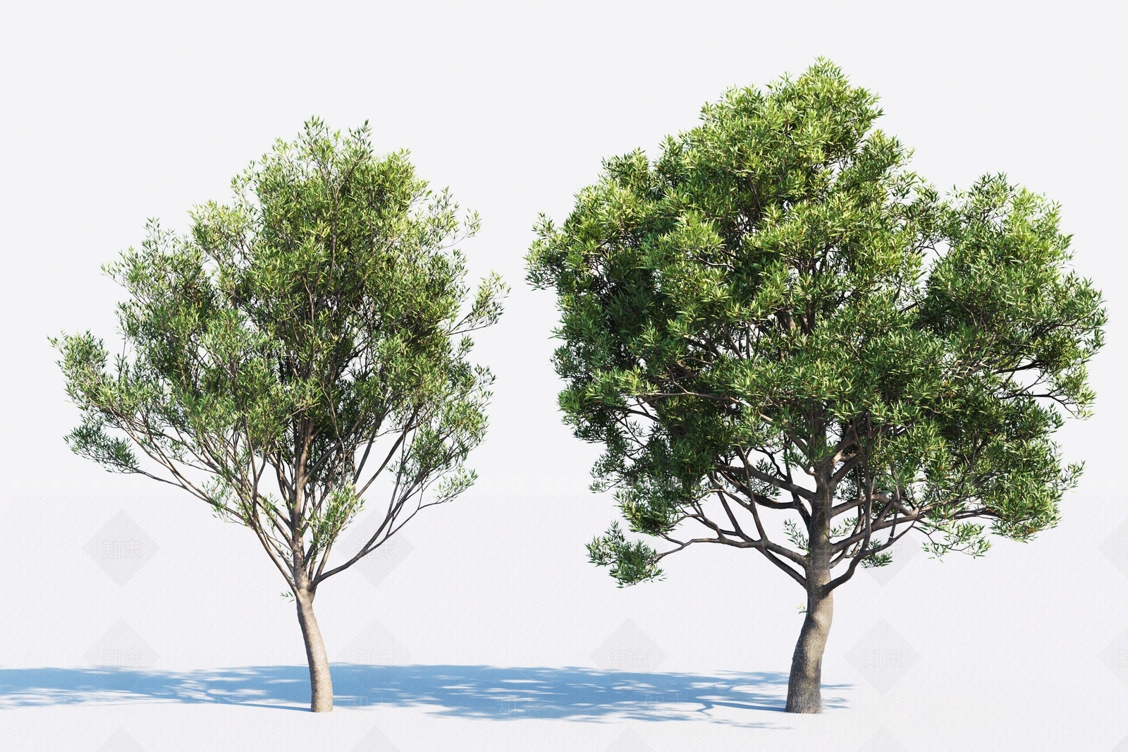 现代景观树3D模型下载【ID:384890696】