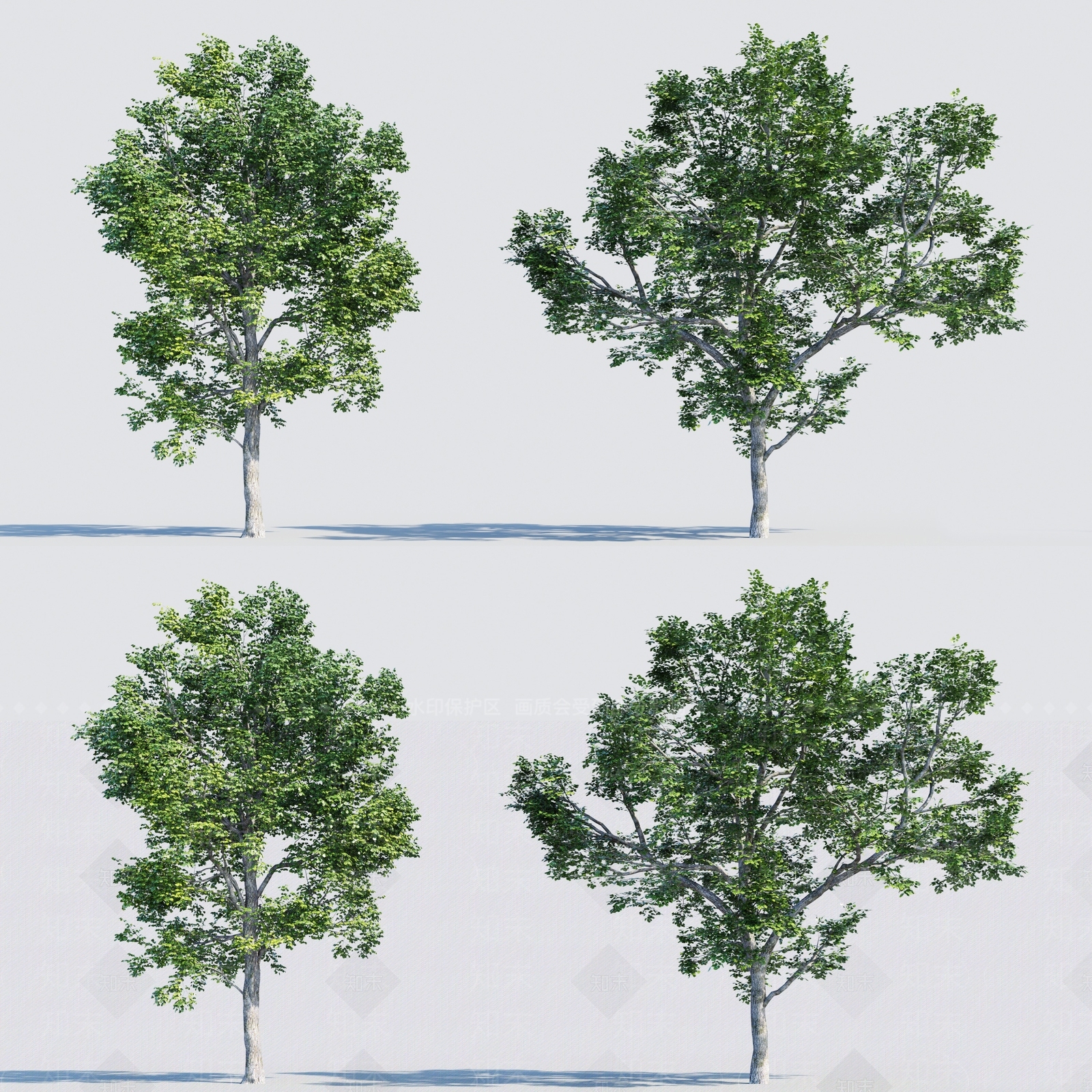 现代景观树3D模型下载【ID:384900644】