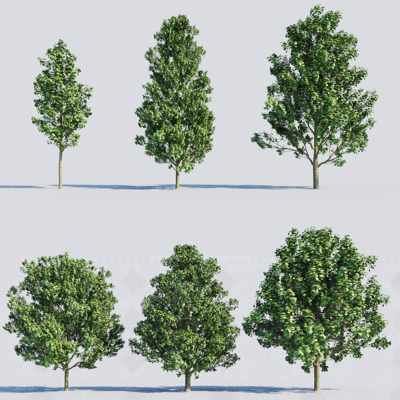 现代景观树3D模型下载【ID:384900665】