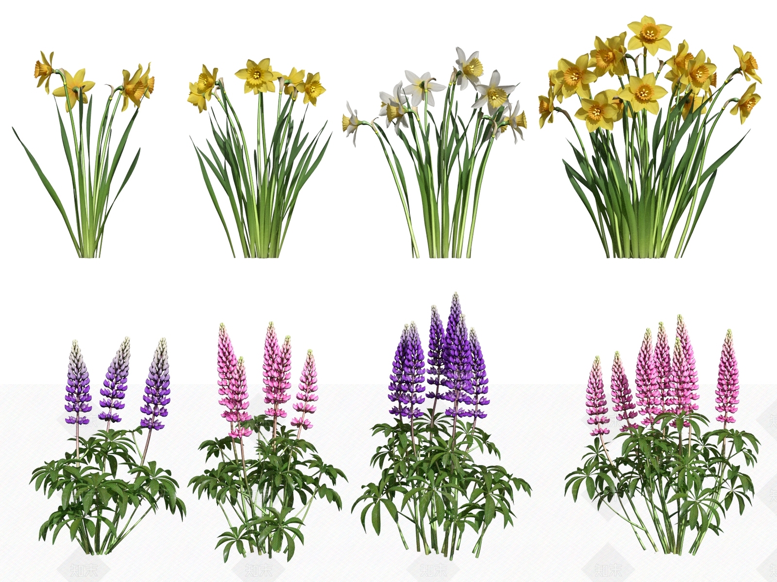现代花草组合3D模型下载【ID:385074586】