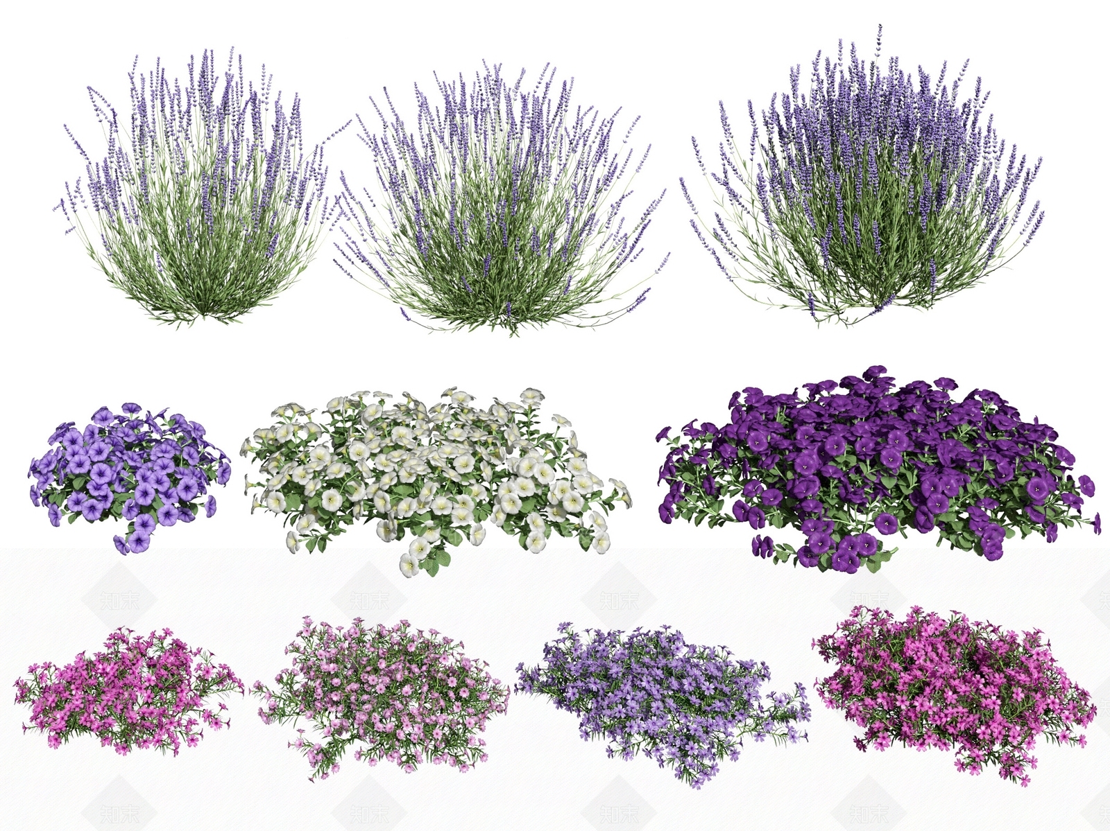 现代花草组合3D模型下载【ID:385074586】
