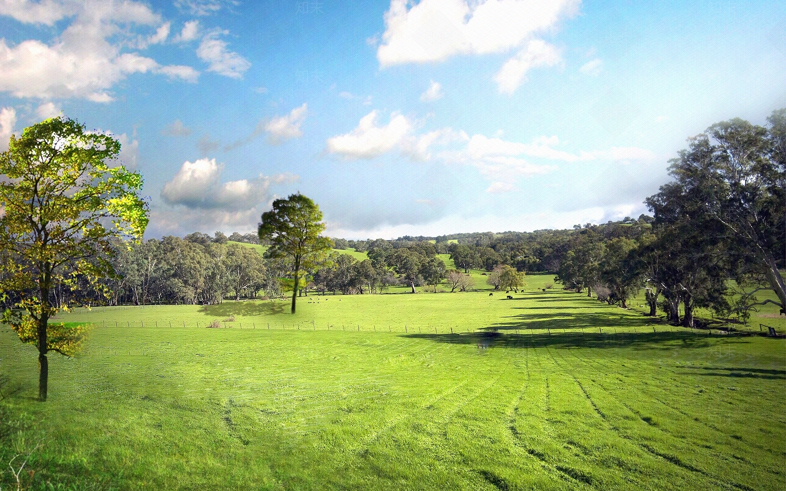 草坪天空树木自然贴图下载【ID:585162601】