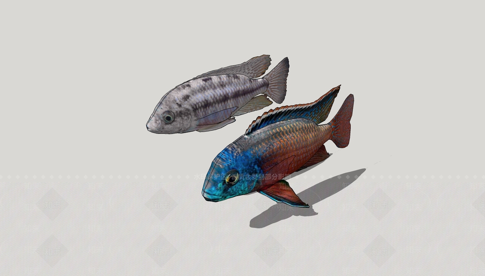 现代观赏鱼SU模型下载【ID:785501683】