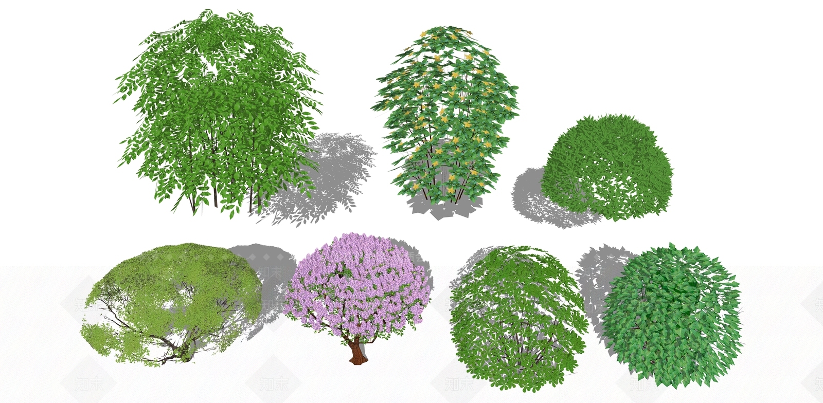 现代灌木球形植物SU模型下载【ID:485699491】