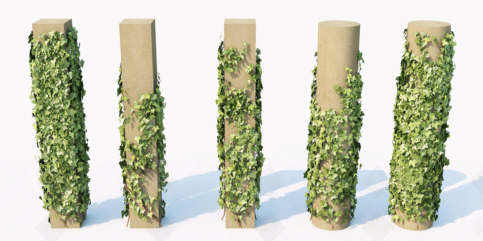 现代植物3D模型下载【ID:385732567】