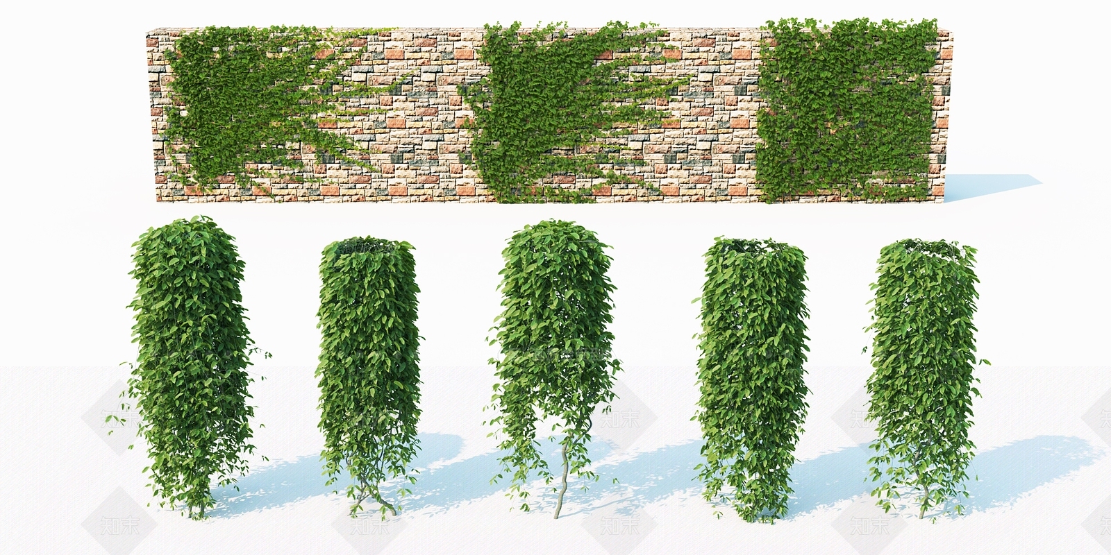 现代植物3D模型下载【ID:385734584】