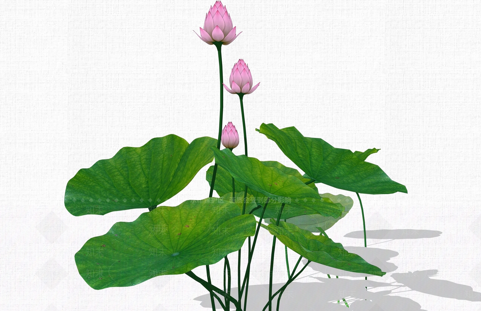 现代荷花SU模型下载【ID:185736519】