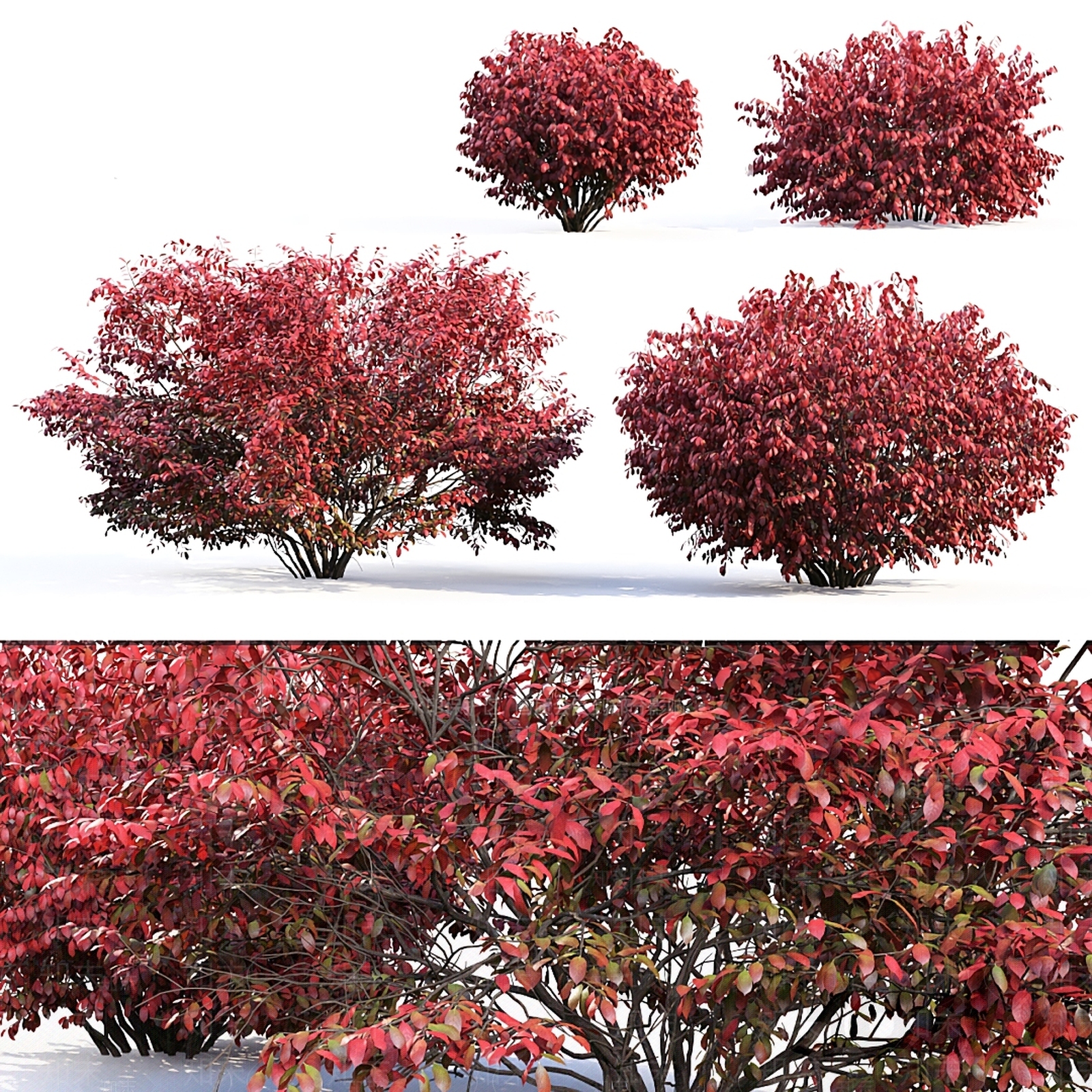 现代绿篱3D模型下载【ID:386160599】