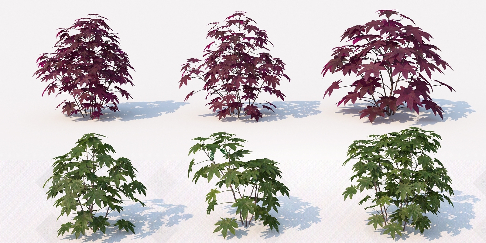 花草3D模型下载【ID:386363540】