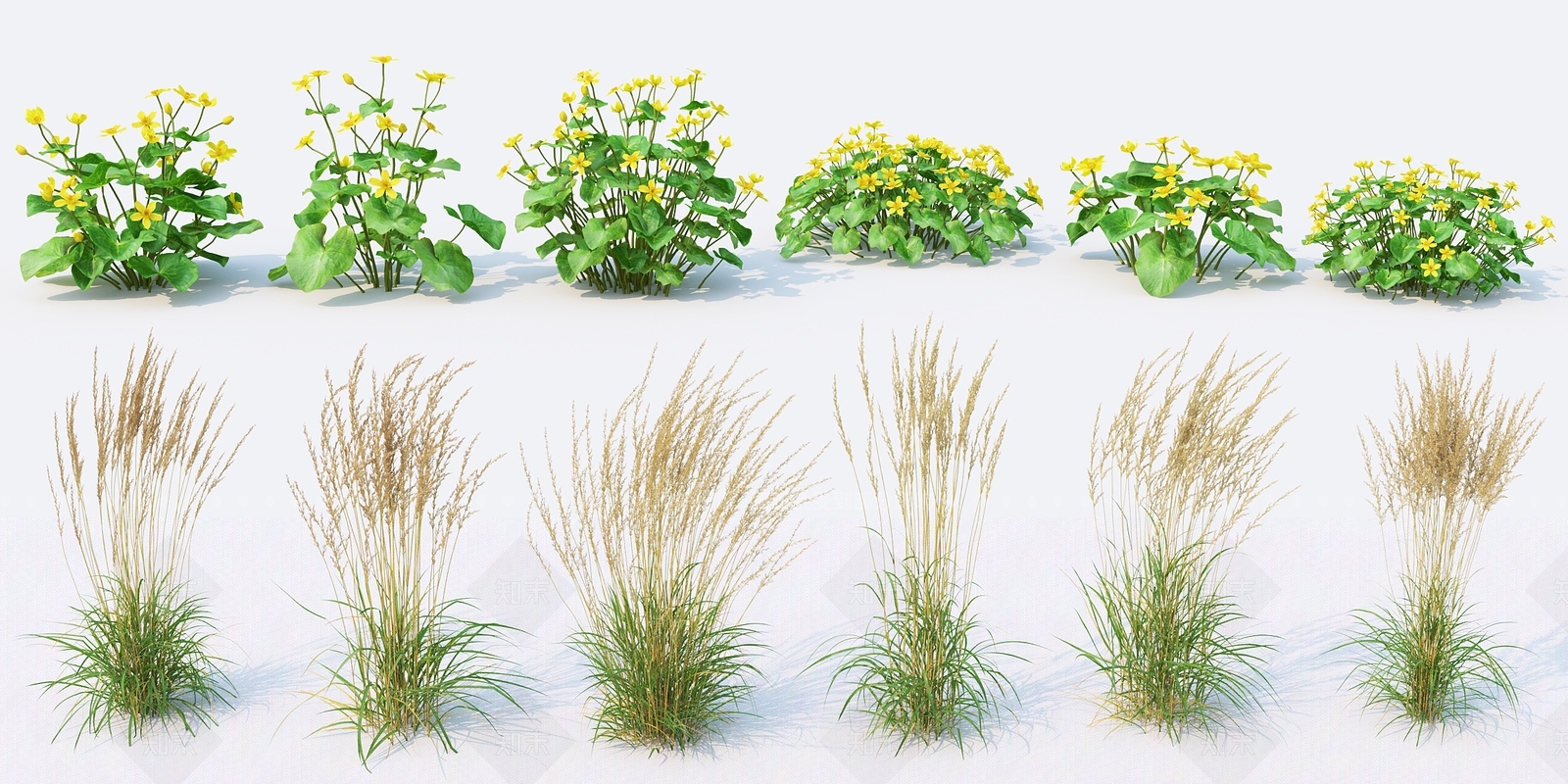 花草组合3D模型下载【ID:386365521】