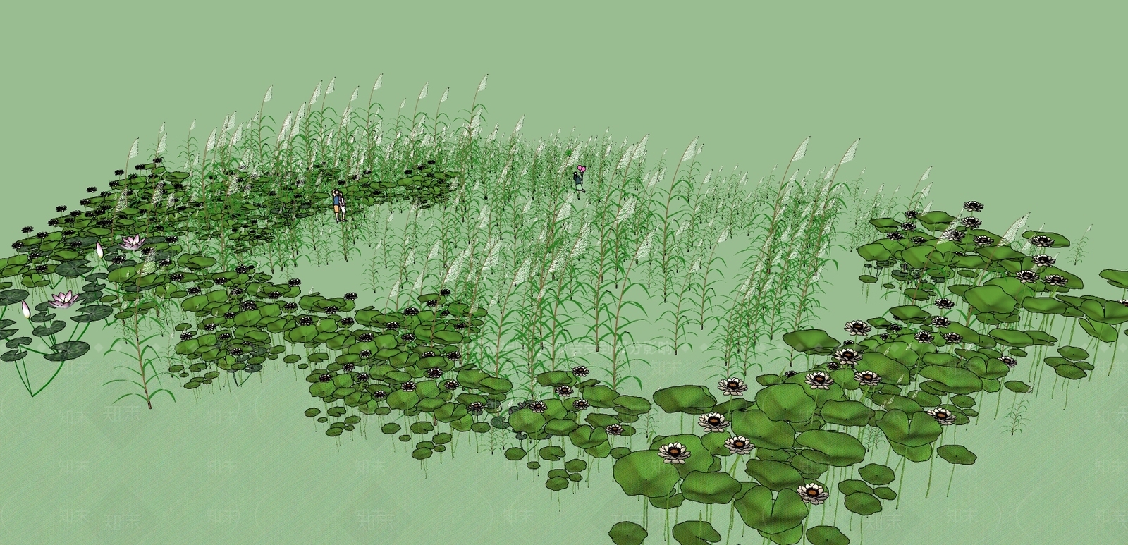 现代花草SU模型下载【ID:686406033】