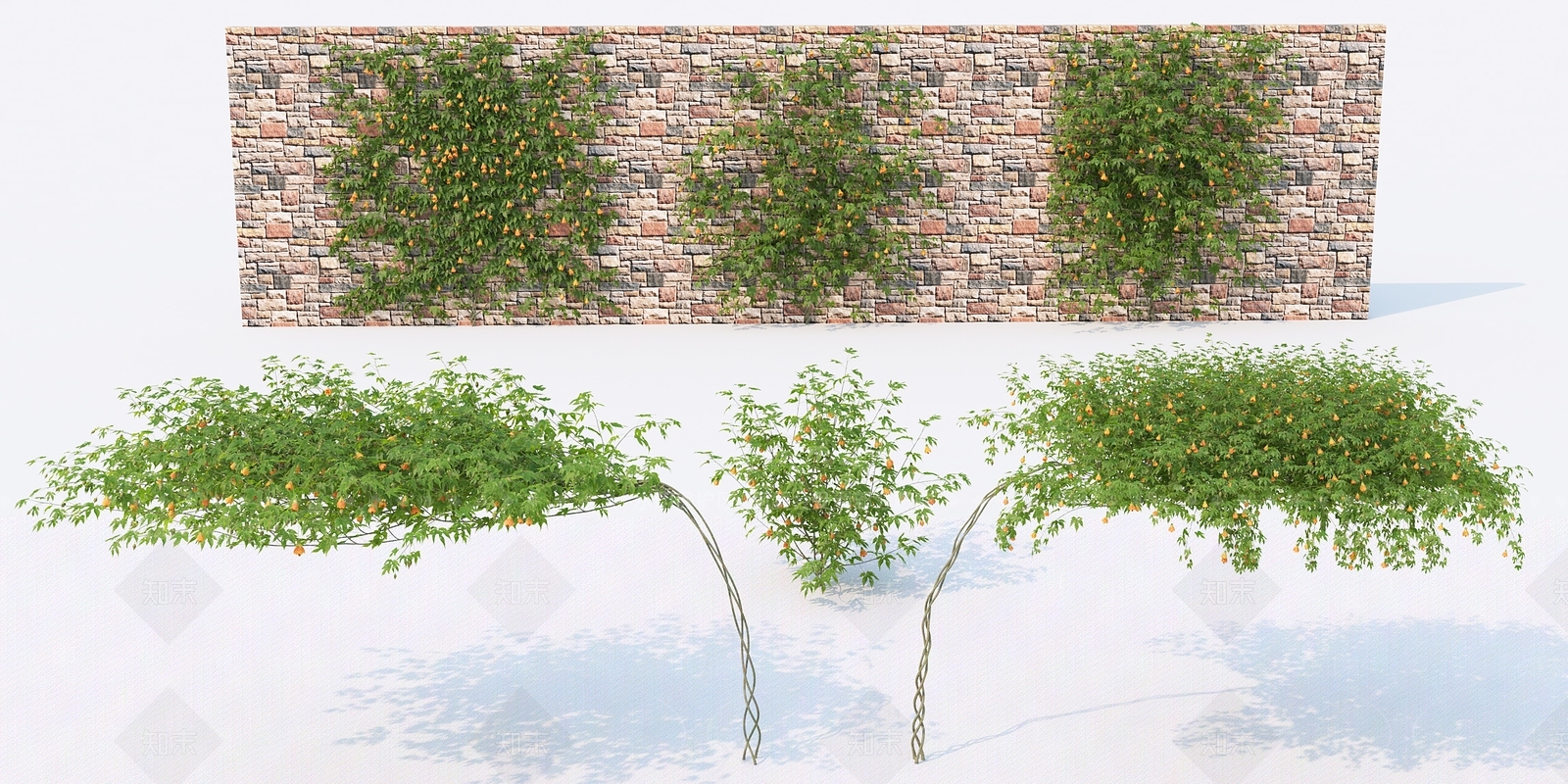 植物3D模型下载【ID:386453575】