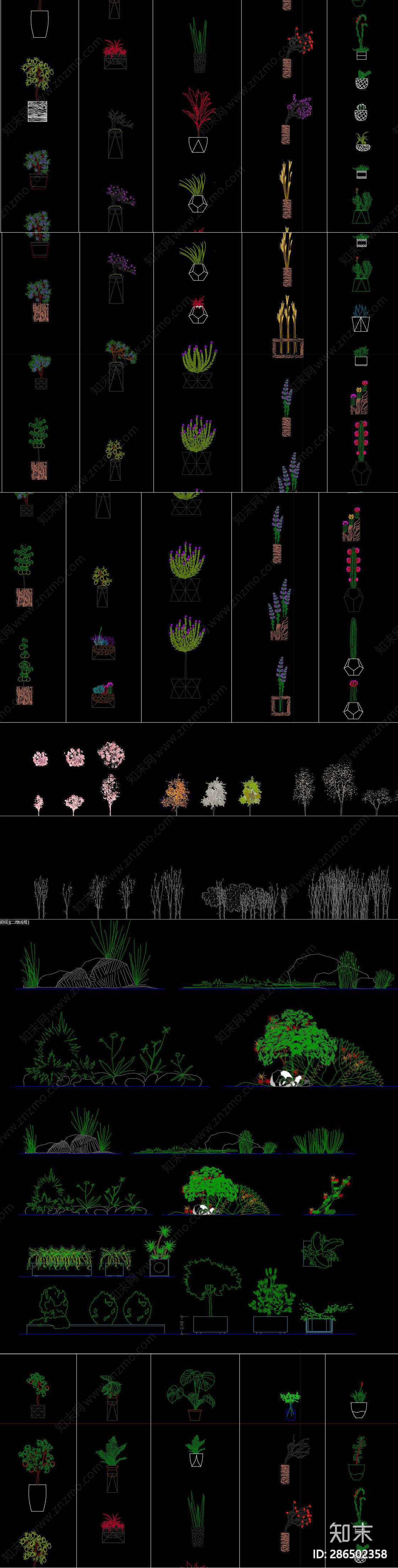 植物CAD图库cad施工图下载【ID:286502358】