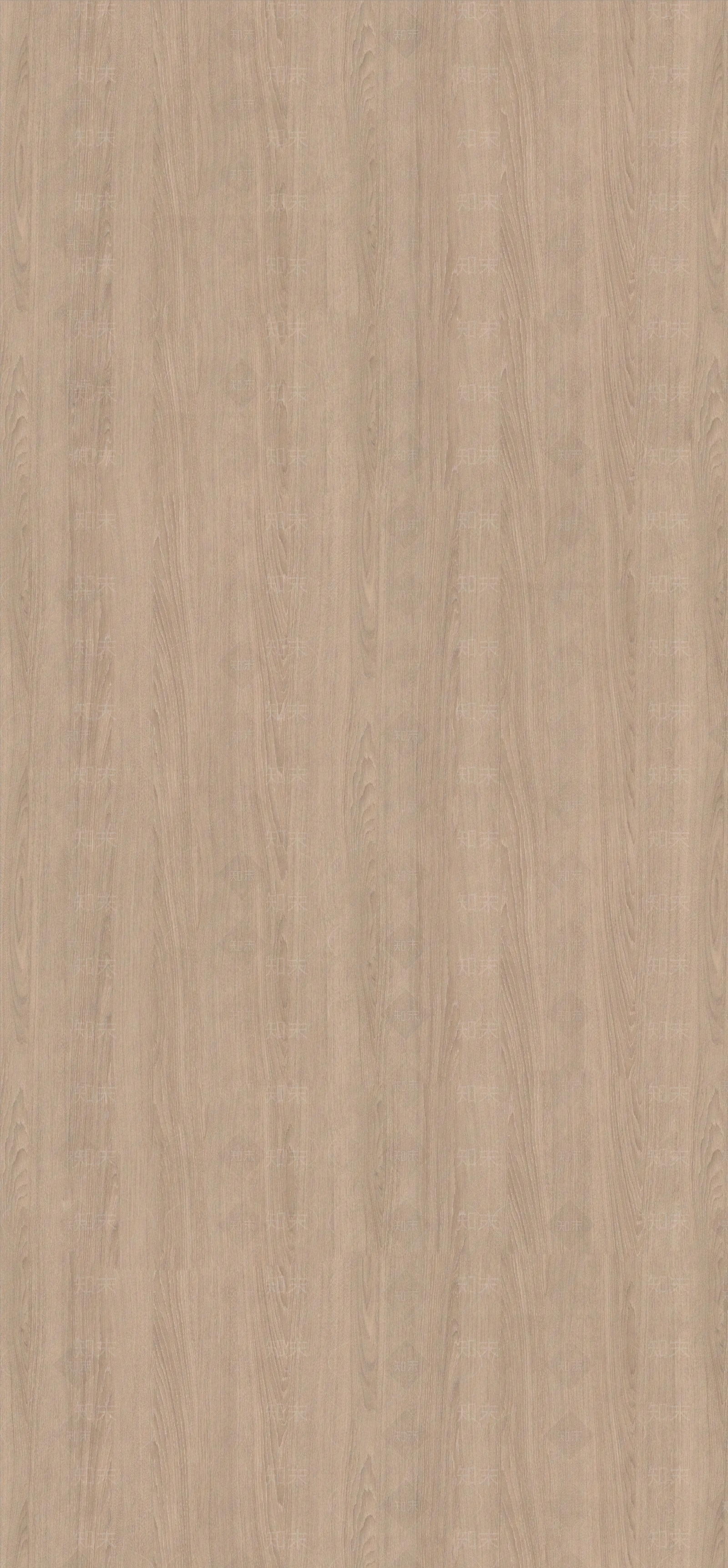 沙棕色奥尔良橡木贴图下载【ID:987090748】