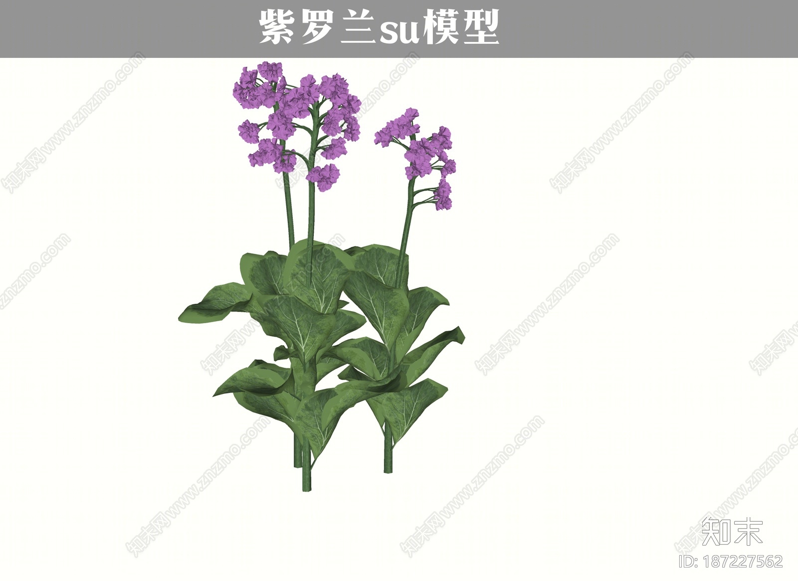 现代紫罗兰花SU模型下载【ID:187227562】